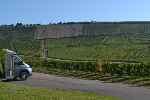 Bue Vinyard view_20140915