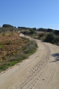 PelayosdelaPresa3_20141028