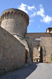 Volterra1_20150403