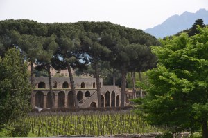 Pompeii15_20150505