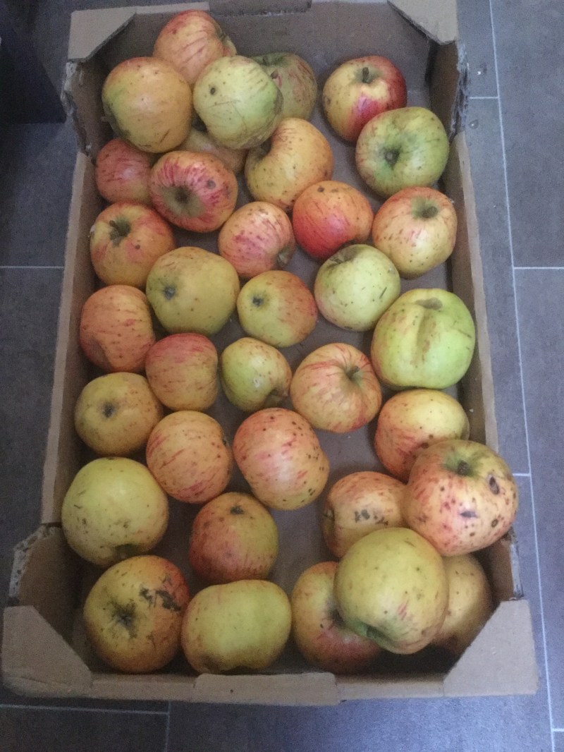 605F0258-2B41-46A5-A826-480C192A7E0A