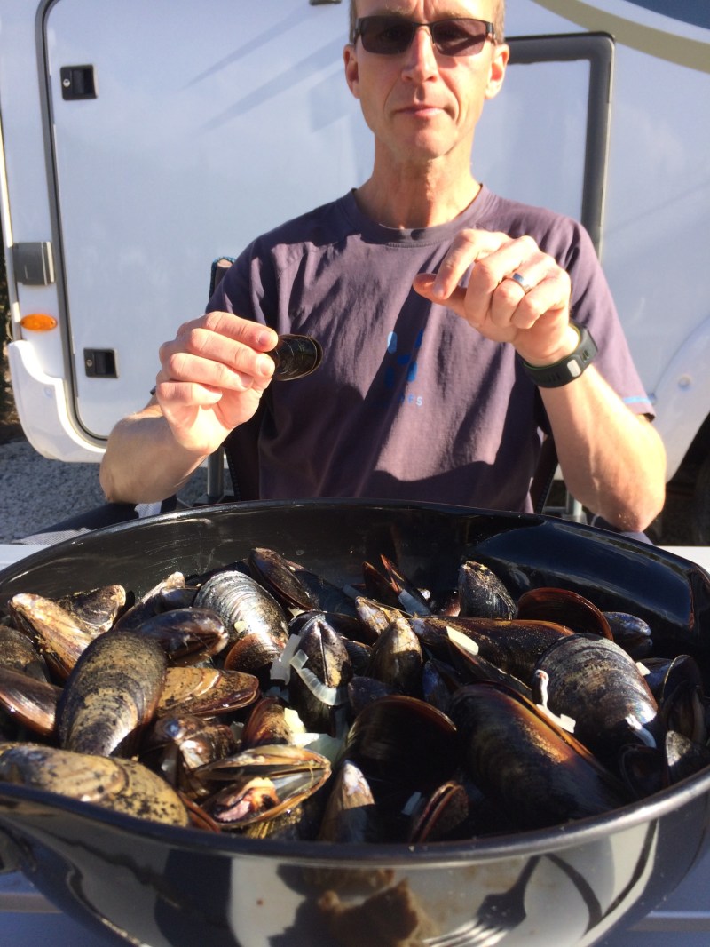 F96B7CD0-37A9-4743-8015-39CEAA683132