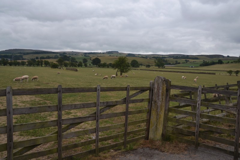 A0E19543-1AF7-47EF-8477-DA0562632574