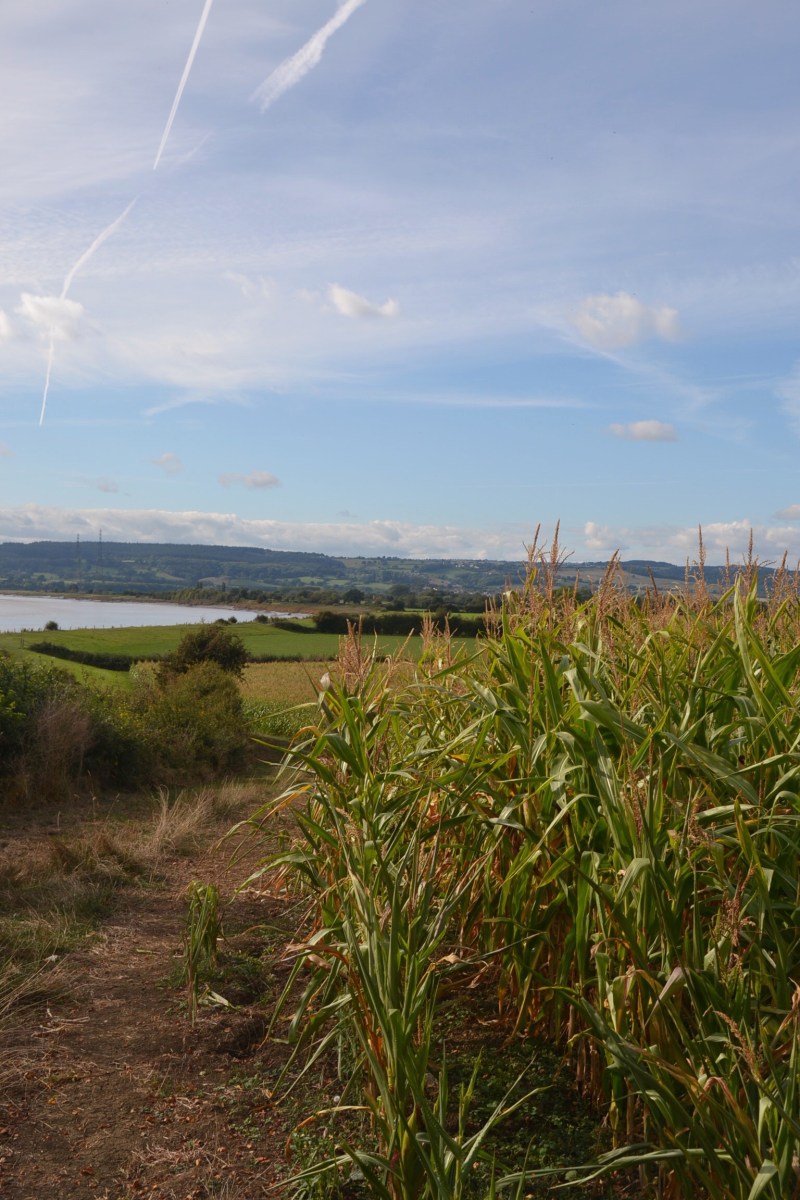 A38F64AF-BAA3-46B9-A8F2-83047C946018