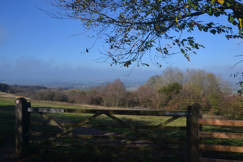 EA123C11-ED23-4F65-81B9-202B966FC104