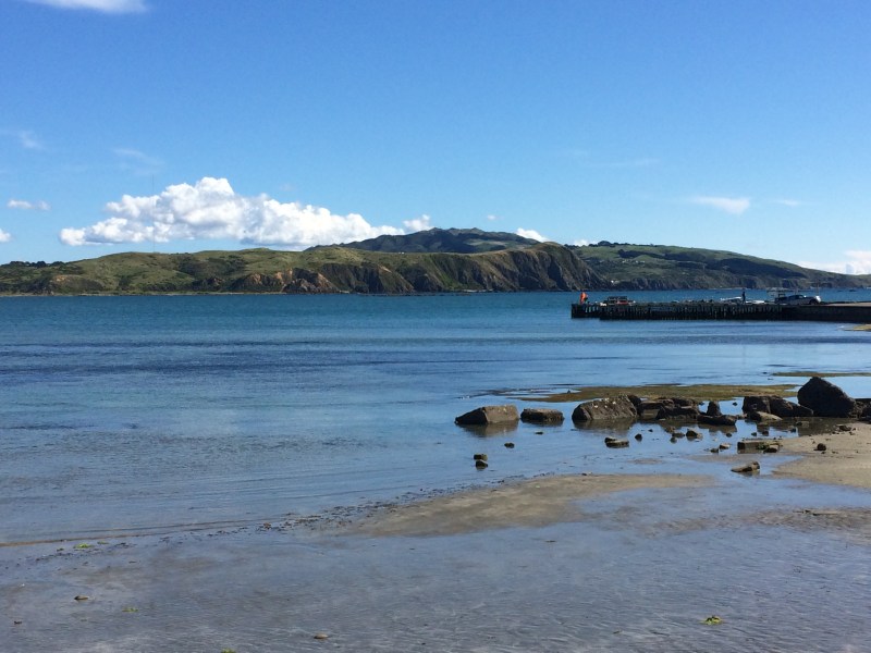 0A32D576-A49A-42BF-831A-12696719472C