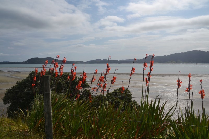 3D11DB08-CEA1-442F-B8D9-893FD37055A6