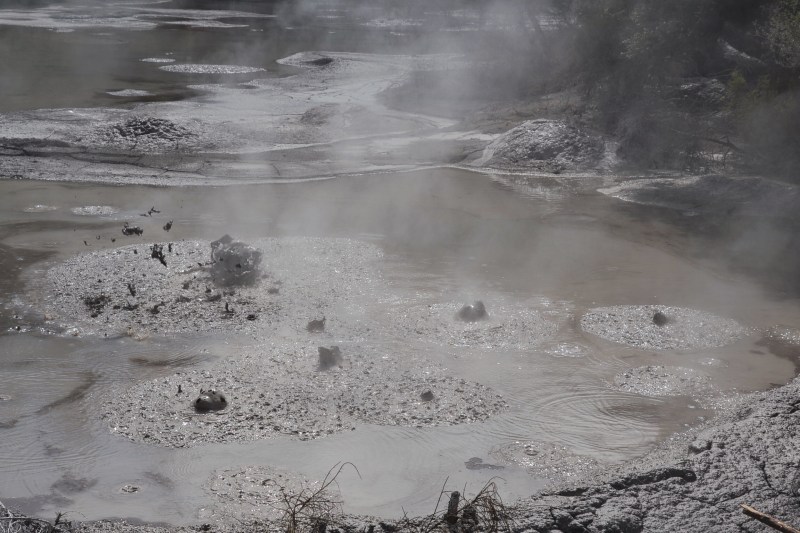 501D1693-2FC3-42C9-AE34-3ED8C0C11C66