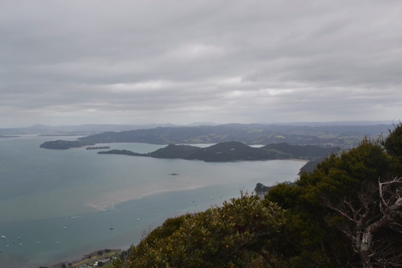 554BF91A-D08A-4713-966A-D0A43738274F