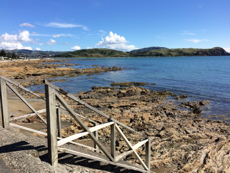 877AA136-DB4B-4A74-853F-E6E70A404D15