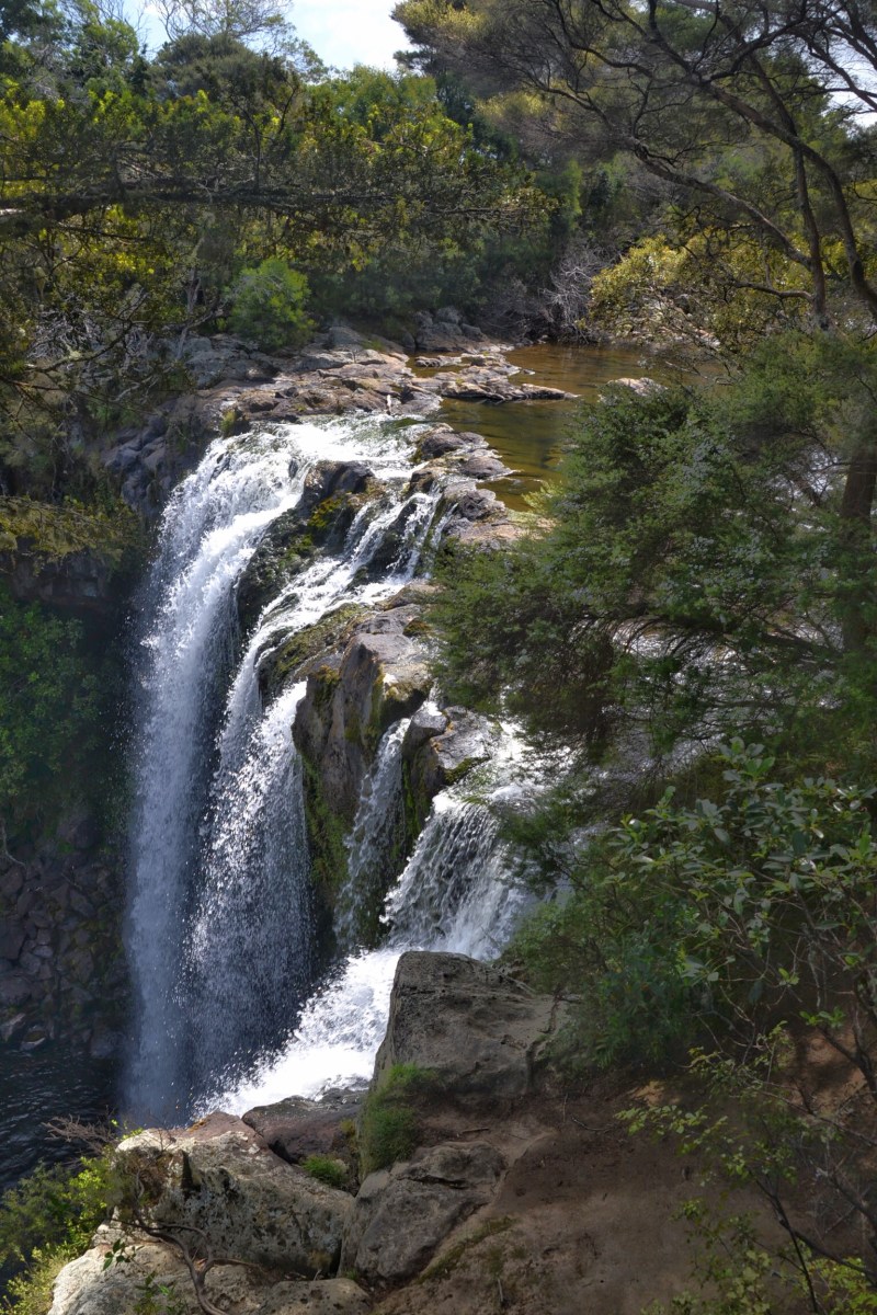 AECFF191-7545-417C-9D7E-FAF863B27832