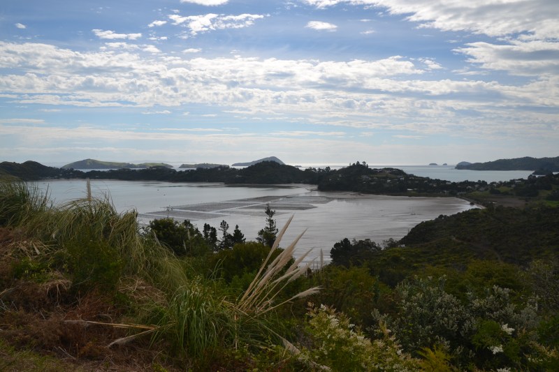 Coromandel Town17_20181109