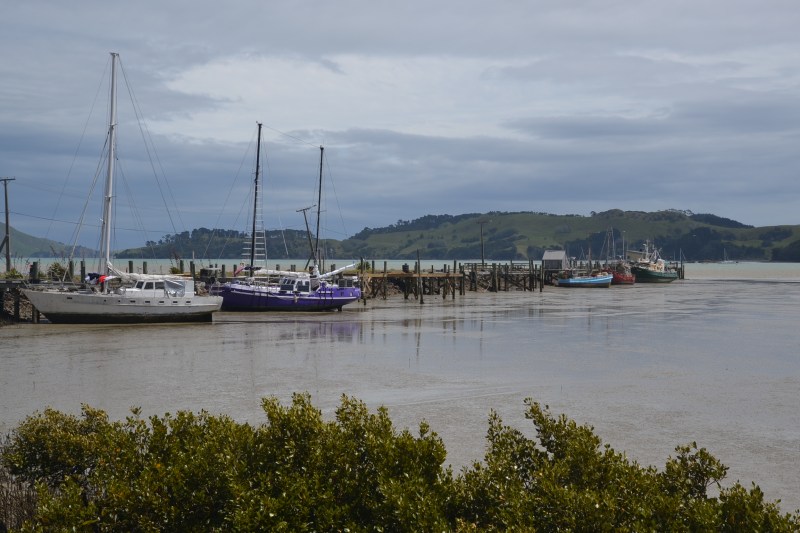 Coromandel Town4_20181109