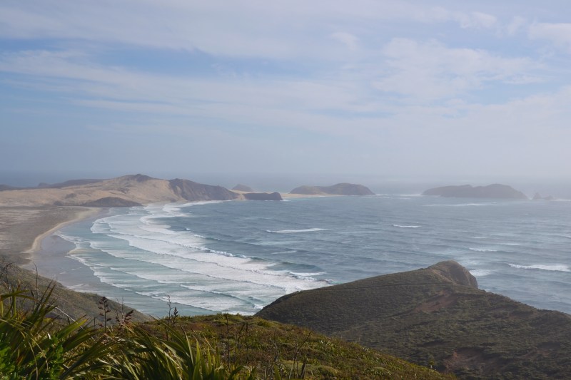 FEB78852-2B99-486F-BE1F-7D2023802BEF