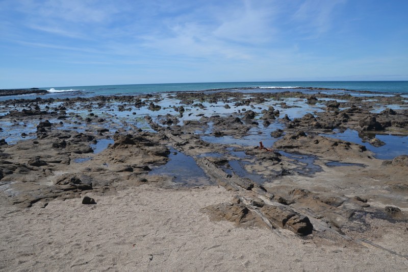 1823BEDD-FF96-4CB5-9E93-3A7C42FD0FA1