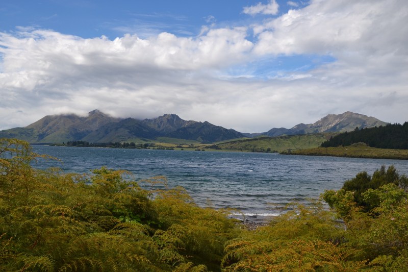 4D0DFE40-FBCE-41F2-93F7-6C8239B4C90A