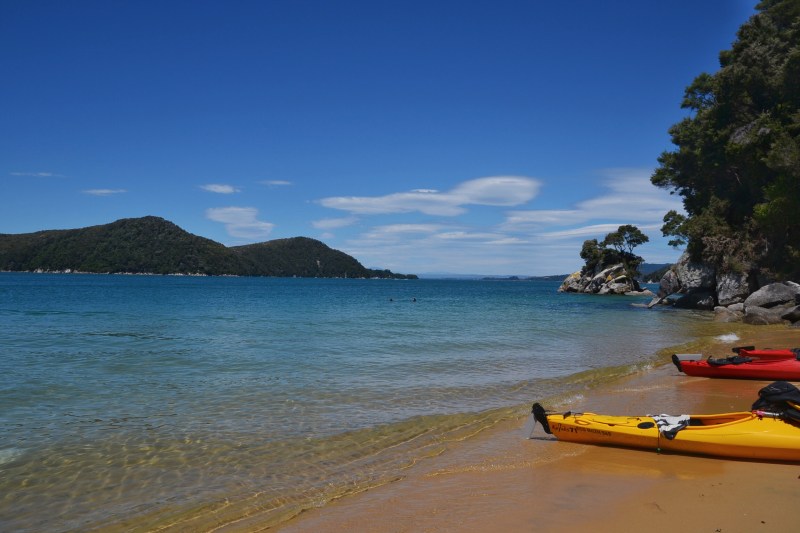 53CBCE0D-B7BE-4011-9704-234C6CF0E68F