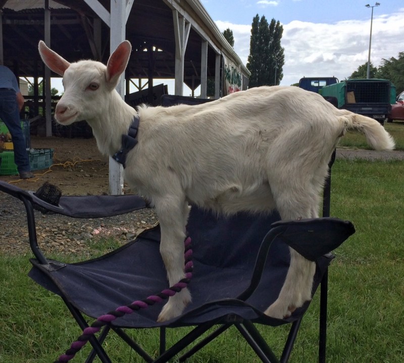 663DBEFB-82A9-4D33-B712-1BC718092F55