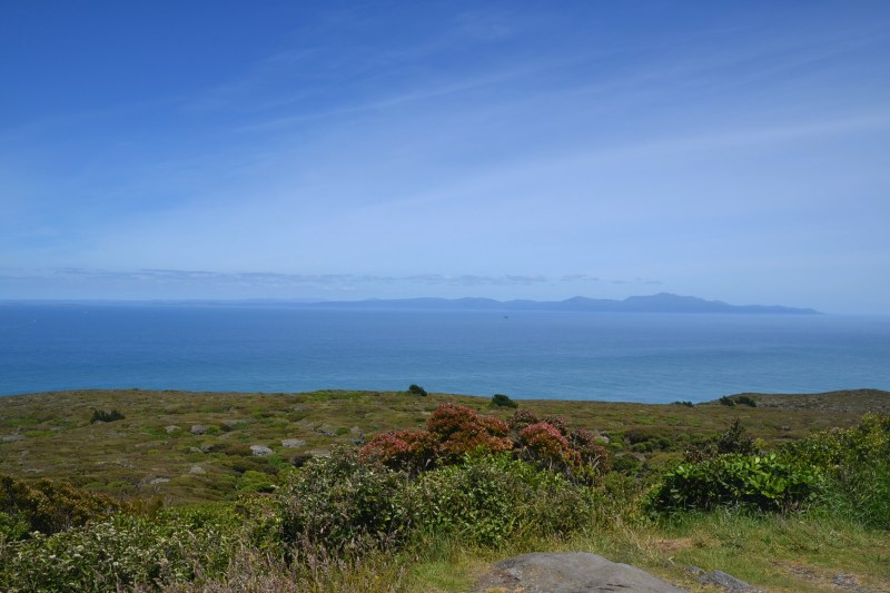 6A25D03A-29D8-4929-A74B-B25B85B479FE