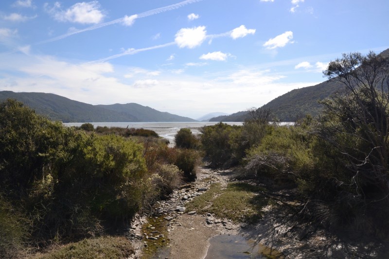 854A7983-B486-4F1D-9F1A-81530AE7C74E