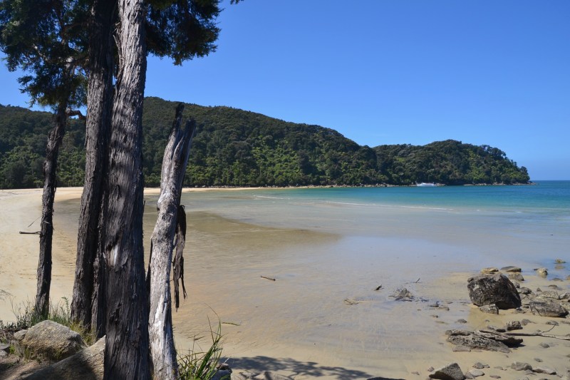 9F362505-ECBF-4172-A645-2E850207EB8E