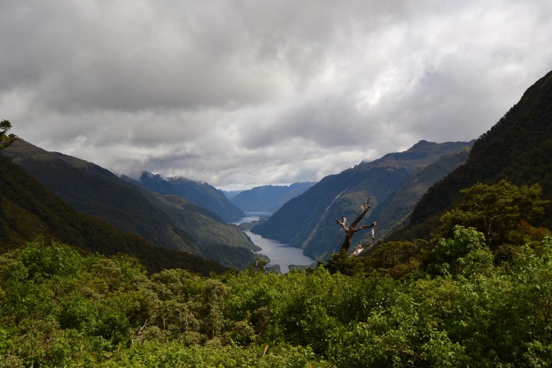 B3680287-692A-4DD3-B020-F3EA5E7CA98B