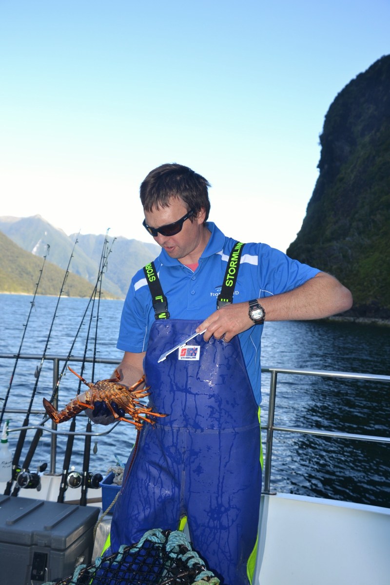 B86980F6-1115-4F71-BA5D-4EDD3C04B9D6