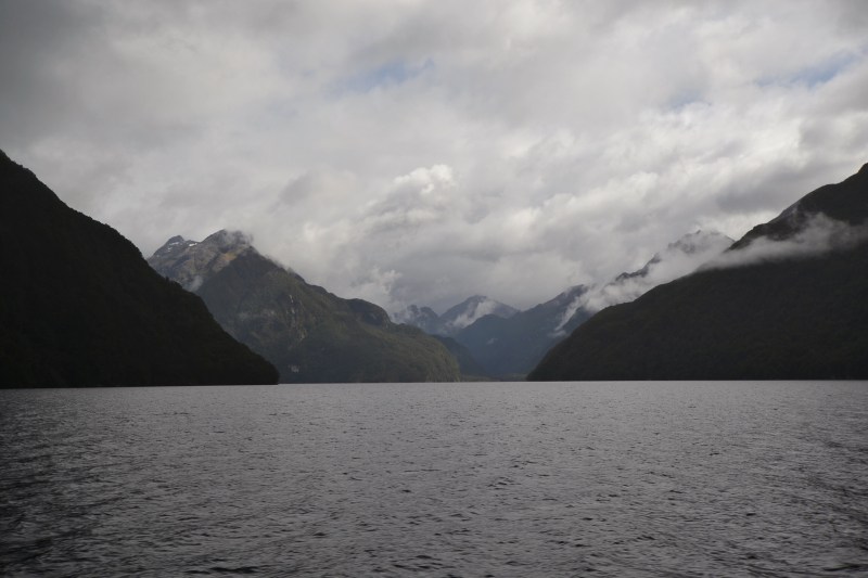 BAB72C3B-D463-4C54-B7E9-B63A3A911078