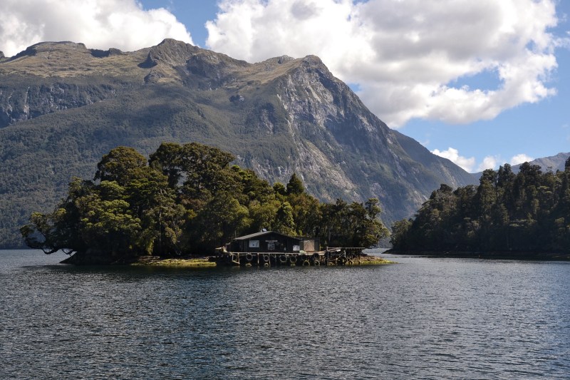 DAF82F82-CF3D-4586-9907-F8419DB8D9F3