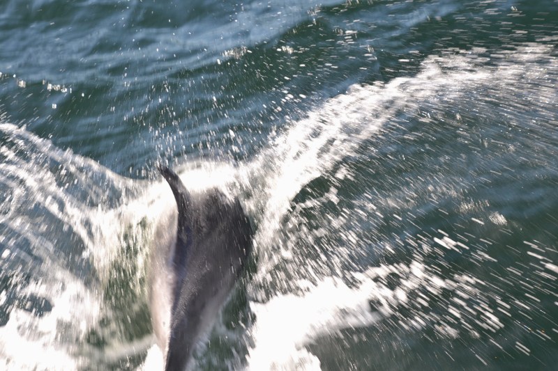 EE9C453E-7D87-418B-89AD-5A028C65D629