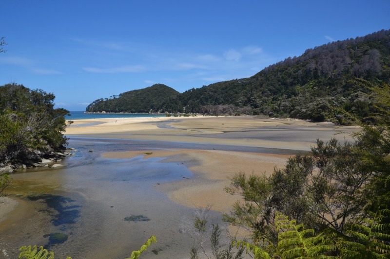 A50E8988-403A-4EA7-8153-7570FB318987