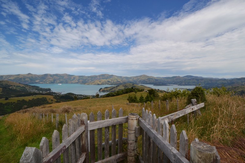 a383b710-1d3b-485c-9dce-c7f6c816a908