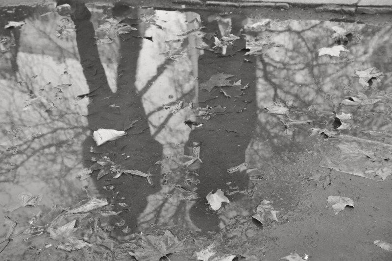 100DFAD1-9FD2-45F6-87BB-64AF08FD3AE3