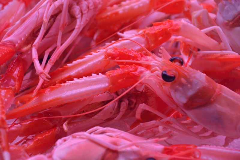 3AF1E4EA-0C81-413B-90FF-B3746B6C52D3