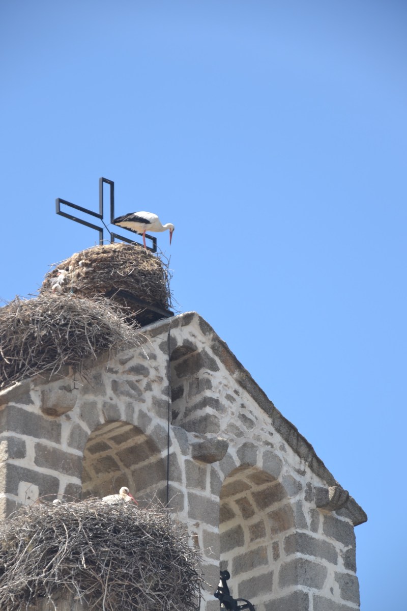 CFA05961-EC0A-4485-9AF1-A6BCDFE2C403