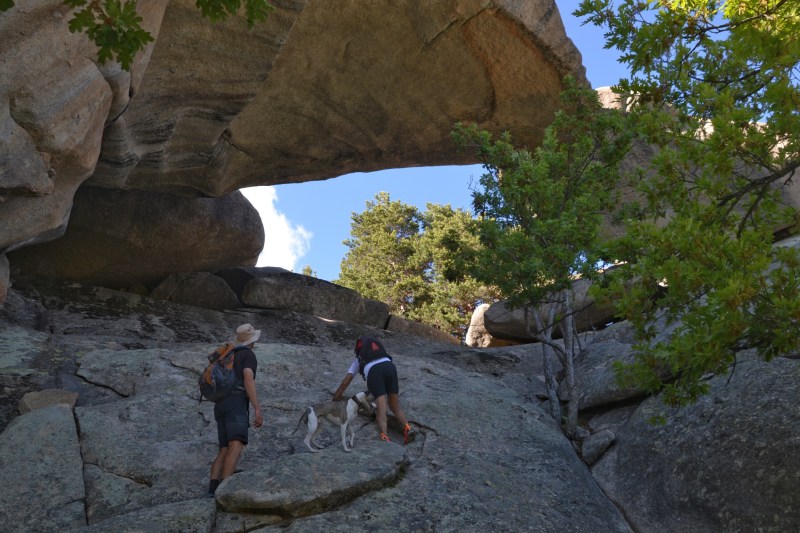 FF0458FA-787B-47EB-8D5E-55A93B28EAD2