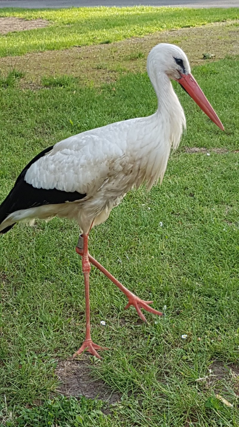 0820247B-4A8C-41B6-8646-92F87D7362C6