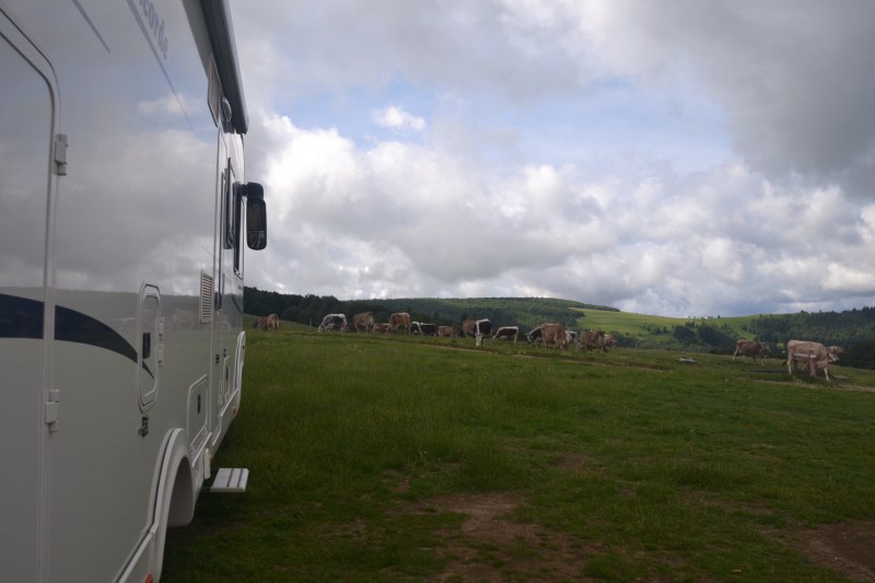 128D8D06-4231-4D9D-B656-279052CD4216