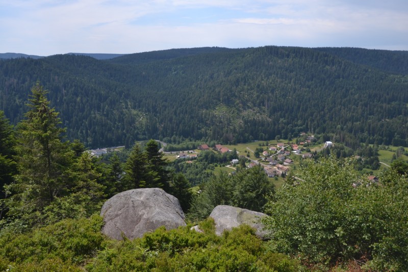 41D1632C-2080-4EA8-8339-9C842005018F