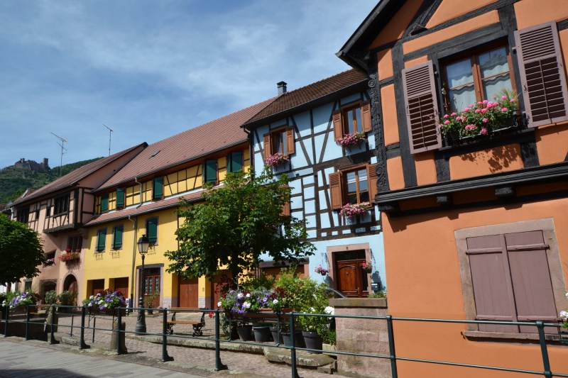 CEFC5C49-060F-4D19-8F42-C76267DAC287