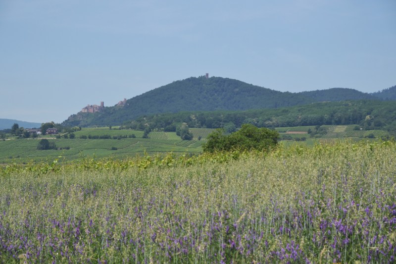 DAB509FC-30C2-45B0-8A7B-8DD35BF940C7