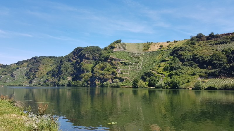 263AB43E-296C-47C2-9CB2-084BD6B90DE5