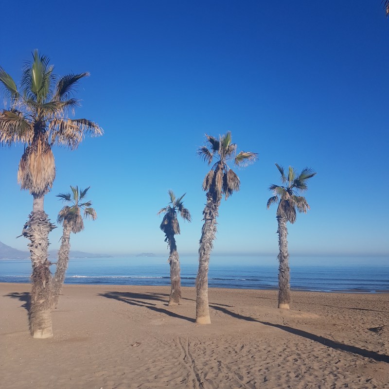 F971D423-88DB-438C-84C4-EC4311A04994