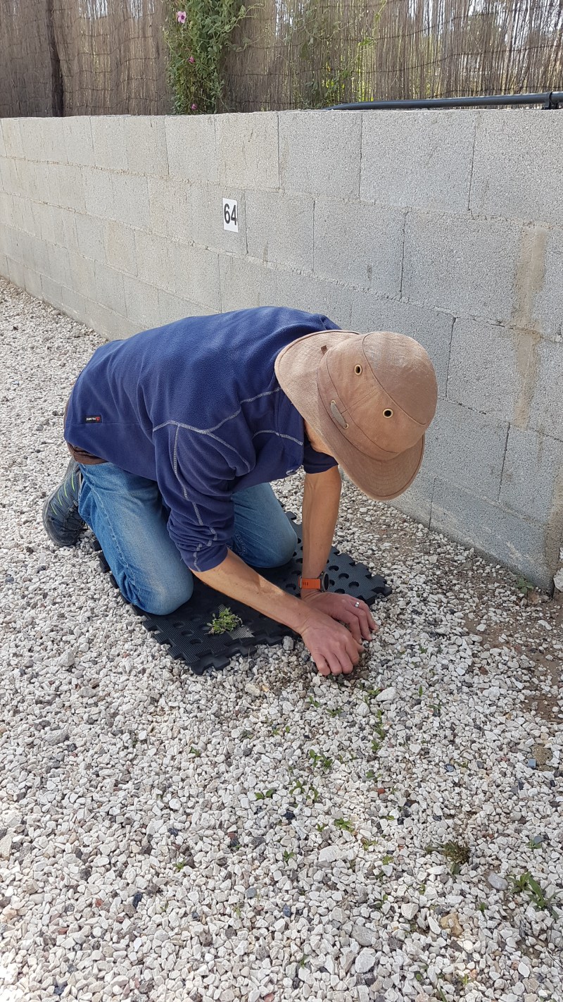 57D8EAE3-E25E-4B02-9D71-D6489E605F95