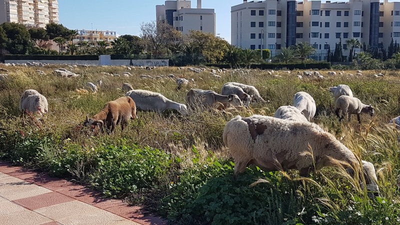 CECCC227-E9A4-49F5-A1A3-F97C819BF5DF