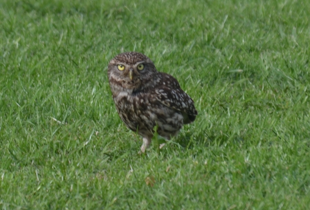 4AF40971-46B3-4D33-B477-6F6162A2C8C6