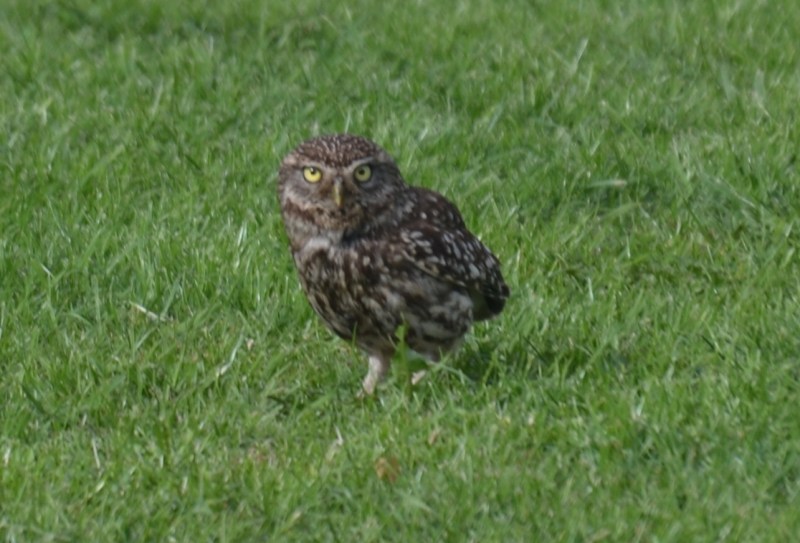 4AF40971-46B3-4D33-B477-6F6162A2C8C6